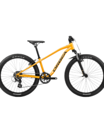 MX 24